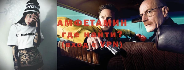 ECSTASY Богданович
