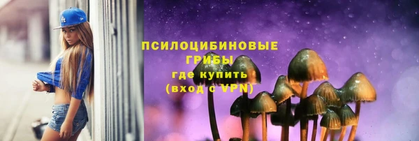 эйфоретик Козловка