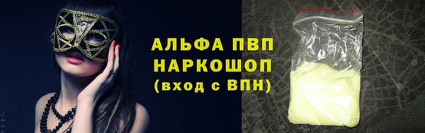 ECSTASY Богданович