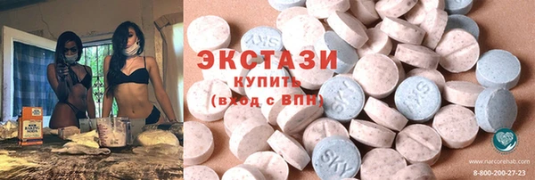 ECSTASY Богданович