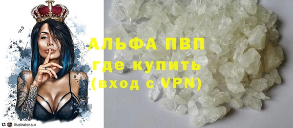 ECSTASY Богданович