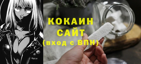 ECSTASY Богданович
