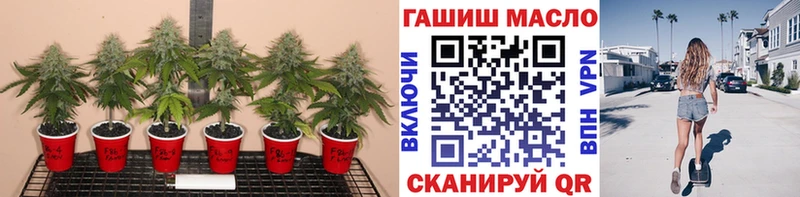ТГК концентрат  продажа наркотиков  мориарти официальный сайт  Гусев 