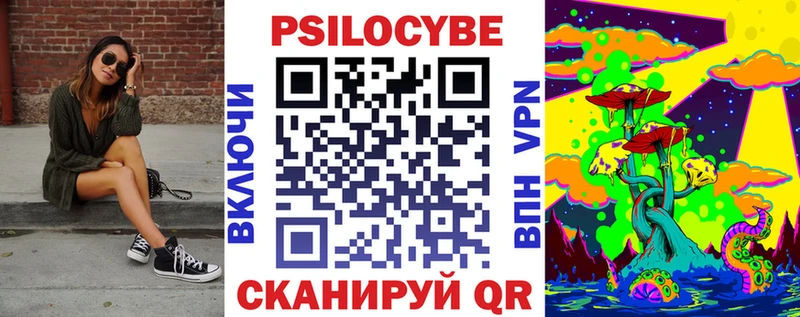 где купить наркоту  Гусев  Галлюциногенные грибы Cubensis 